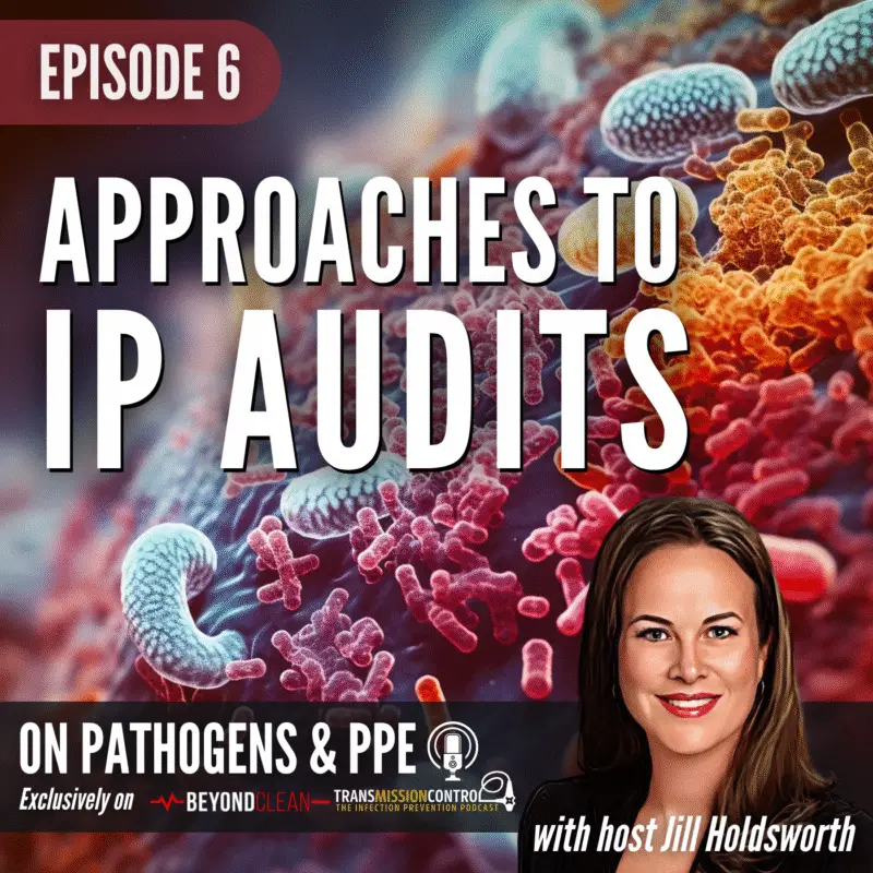 Approaches To IP Audits